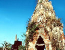 20  buddhist temple overgrown by vegetation 800