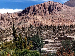 13 the inca ruins near parmamarca  argentina 800