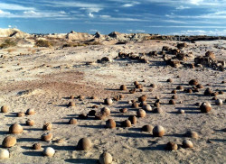 19a balls from erosion in the desert of northern argentina 800