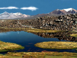 23 lauca national park in northern chile 800