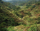 30 4000 year old rice terraces in the mountain province of luzon island 800