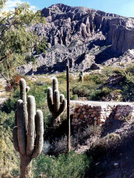 30 inca ruins in northern desert of argentina 800