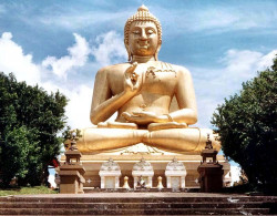 36 golden buddha near songkhla 800