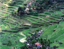 37 mountain villages of the ifugao tribes of the philippines 800