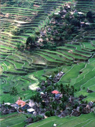 37 mountain villages of the ifugao tribes of the philippines 800