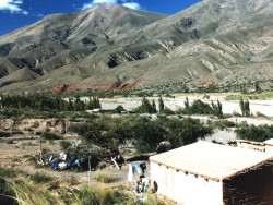 39 the northern desert of argentina 800