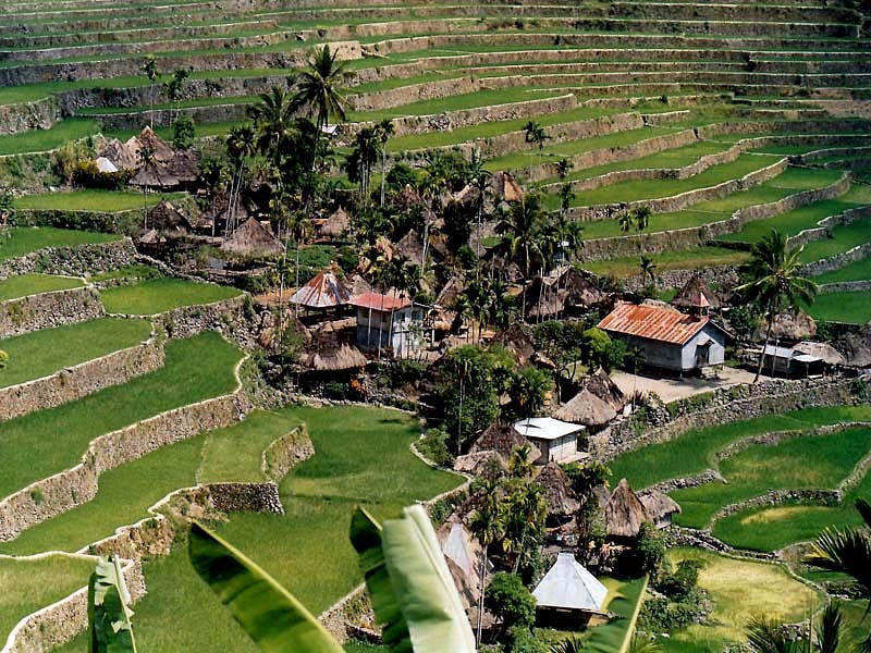 4 000 year old rice terraces on the luzon island of the philippines 800