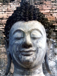 43 head of buddha at phimai 800