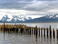 13 mountains of tierra del fuego in the background 800
