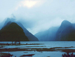 14 milford sound in new zealand  a popular destination 800