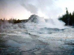 19 castle geyser in yellowstone national park at sunset 800
