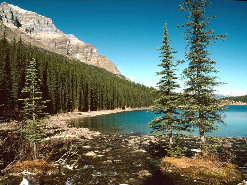 2 a lake in yellowstone national park 800