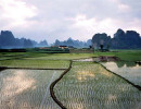 27 rice fields in the yangshou region of southern china 800