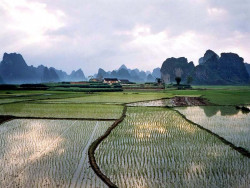 27 rice fields in the yangshou region of southern china 800