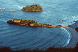 31 small islands offshore of the north island of new zealand at tauranga 800