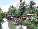 35 home on a jungle river in papua new guinea 800
