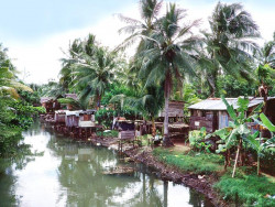 35 home on a jungle river in papua new guinea 800