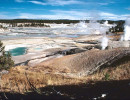 40 large thermal field in yellowstone national park 800