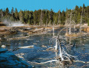 6 steaming geyser inside yellowstone national park 800