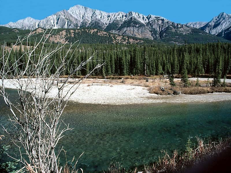 8 the bow river in alberta  canada 800
