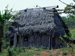 60 bamboo hut in papua new guinea 800