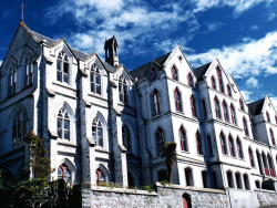 17 huge church in auckland  the capitol of new zealand 800