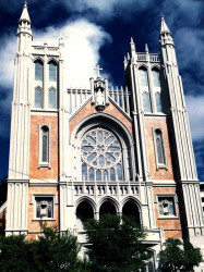 32 dynamic church in awakino  new zealand 800