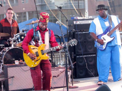 lil  ed with the blues imperials 800