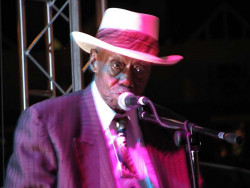 pinetop perkins  3  800