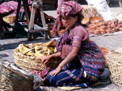 17 Selling bananas in the market at Panajchel 800