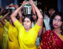 17 SingaporeThaipusum . . . alt. image 800