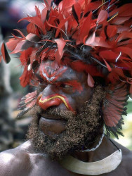 6 Big Red  The Headhunter  800