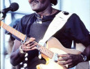 albert collins  2 