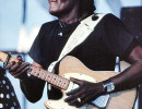albert collins