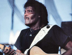 albert collins ig