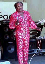 artie  blues boy  white  3 