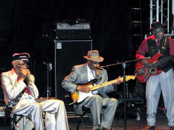 hubert sumlin  3 