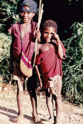 166 out hunting birds