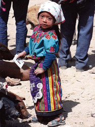 6 young girl tending the pigs