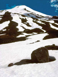 37 looking up the cone of volcano lanin in chile