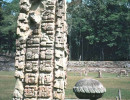 13 well preserved stela at copan