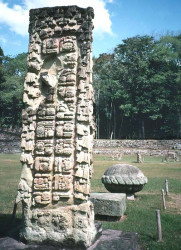 13 well preserved stela at copan