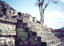 14 steps in the copan ruins in honduras
