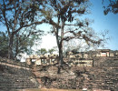 2 part of the acropolis at the copan ruins in honduras
