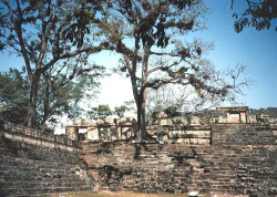 2 part of the acropolis at the copan ruins in honduras