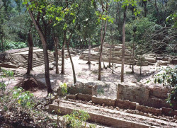 3 a small plaza at the mayan copan ruins in honduras