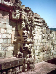 36 more of the detailed carvings at copan in honduras