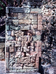 4  mayan stelae at copan  honduras