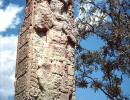 5 one of the many mayan stelae at copan