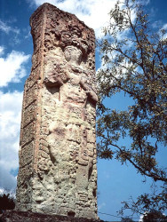 5 one of the many mayan stelae at copan